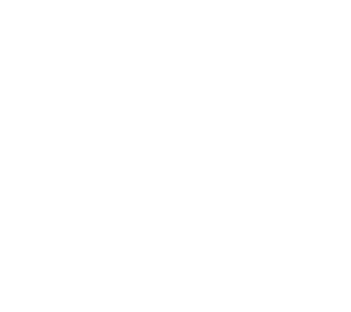 Logo SportFlow